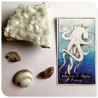 Playing Silver Custom Tarot Deck Printing With Book Instruction